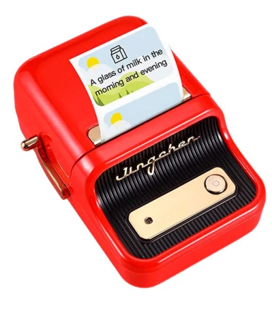 NIIMBOT B21S Red